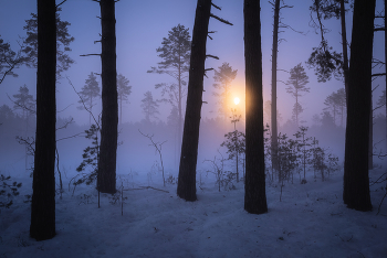 In the moonlight / ***