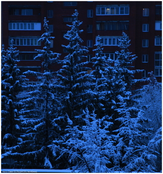 night in the city / ***