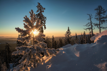 Winter Sun / ***