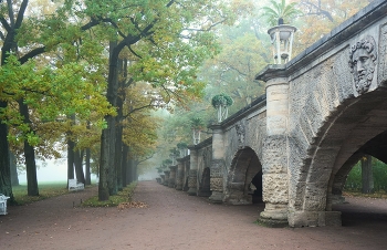 Fog dissipates / ***