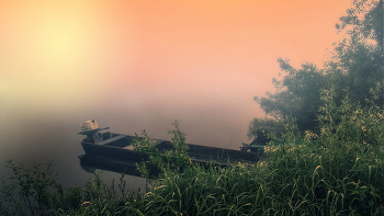 At dawn / ***