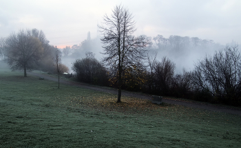 Foggy morning / ***