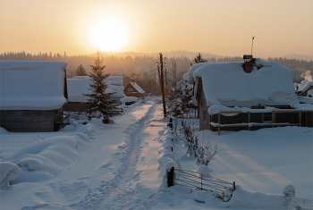 Winter trails / ***