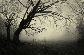 The days of late autumn ... / ***