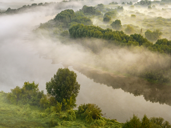 Morgennebel / ***