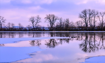 On the wintering grounds. / ***