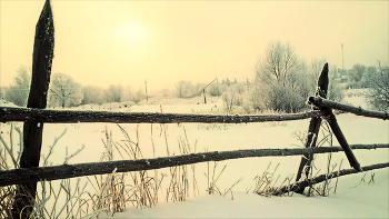 Winter / ***