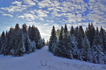 Winter road / ***