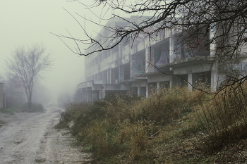 Straße im Nebel / ***