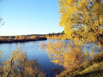 gold autumn / ***