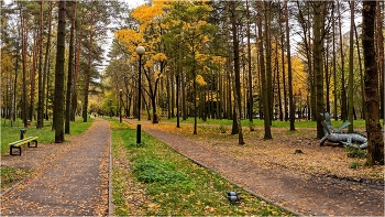 im Park / ***