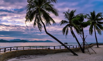 Sunrise / ***