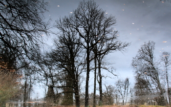 Spiegelung / ***
