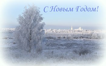 Happy New Year! / ***