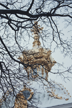 branch / No comments.