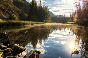 Quiet morning / ***