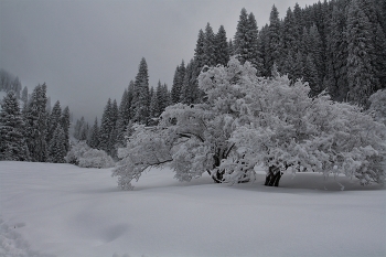 After snowfall / ***