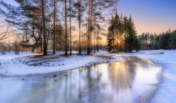 January evening / ***