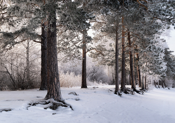 After snowfall / ***