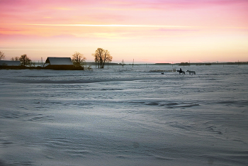 Evenings on a Farm / ***