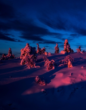 Crimson Sunset. / ***