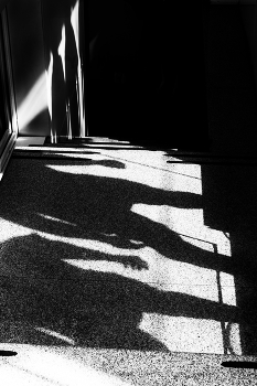 Shadows on the sand / ***