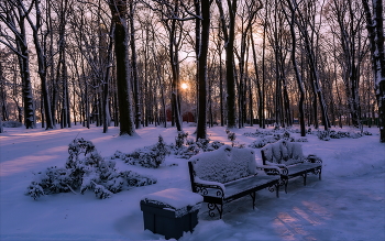 Frost and sun. / 2022