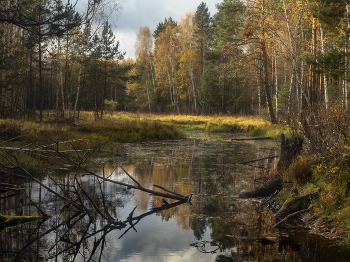 A lovely denek / ***