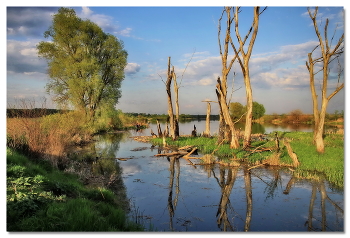 in der Nähe von Moskau am Abend / ***