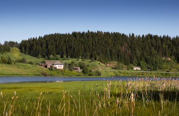 Rural landscape. / ***