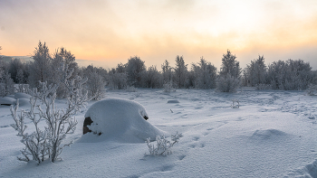 Frosty / ***