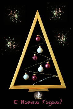 Mit alten Neujahr! / ***