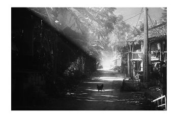  / "Rice&Icon of Vietnam" B&W art photo project