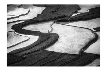 &nbsp; / "Rice&amp;Icon of Vietnam" B&amp;W art photo project