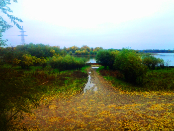 High water / ***