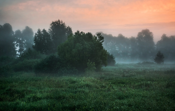 Morgen in der Wiese / ***