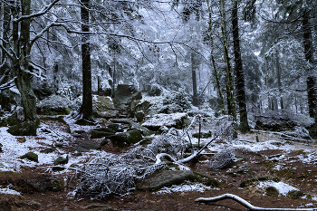 The Winter's Tale. / ***