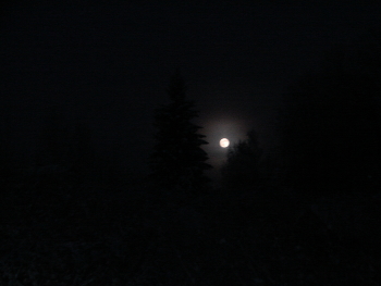 The Night Before Christmas / ***
