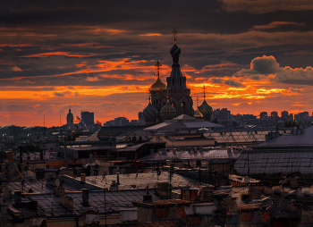 Roofs Of St. Petersburg / ***