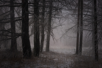 Fischer. / ***