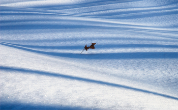 Winterflugplan / ***