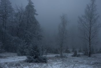 Dunstig / ***