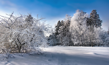 Freeze / ***