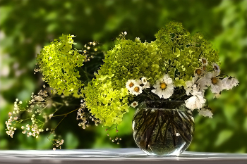 50 shades of green / ***