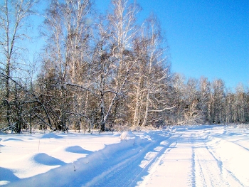 Winter road / ***