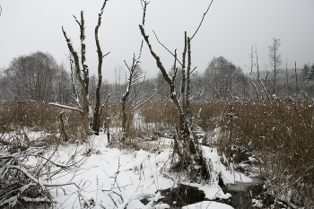 Winter-Skizzen / ***
