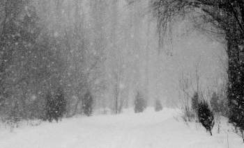 Snowstorm / ***