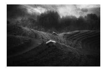 &nbsp; / "Rice&amp;Icon of Vietnam" B&amp;W art photo project