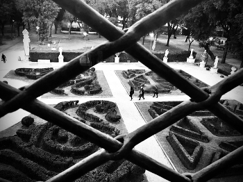  / garden view from the window