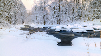 Forest River / ***